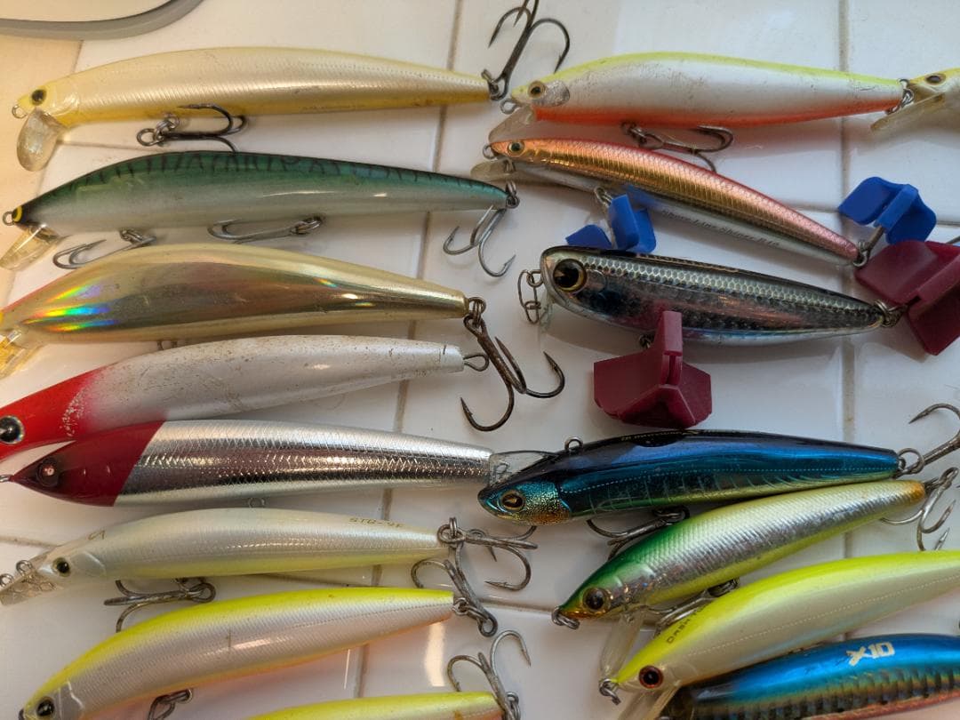 シーバス　エントリールアーセット