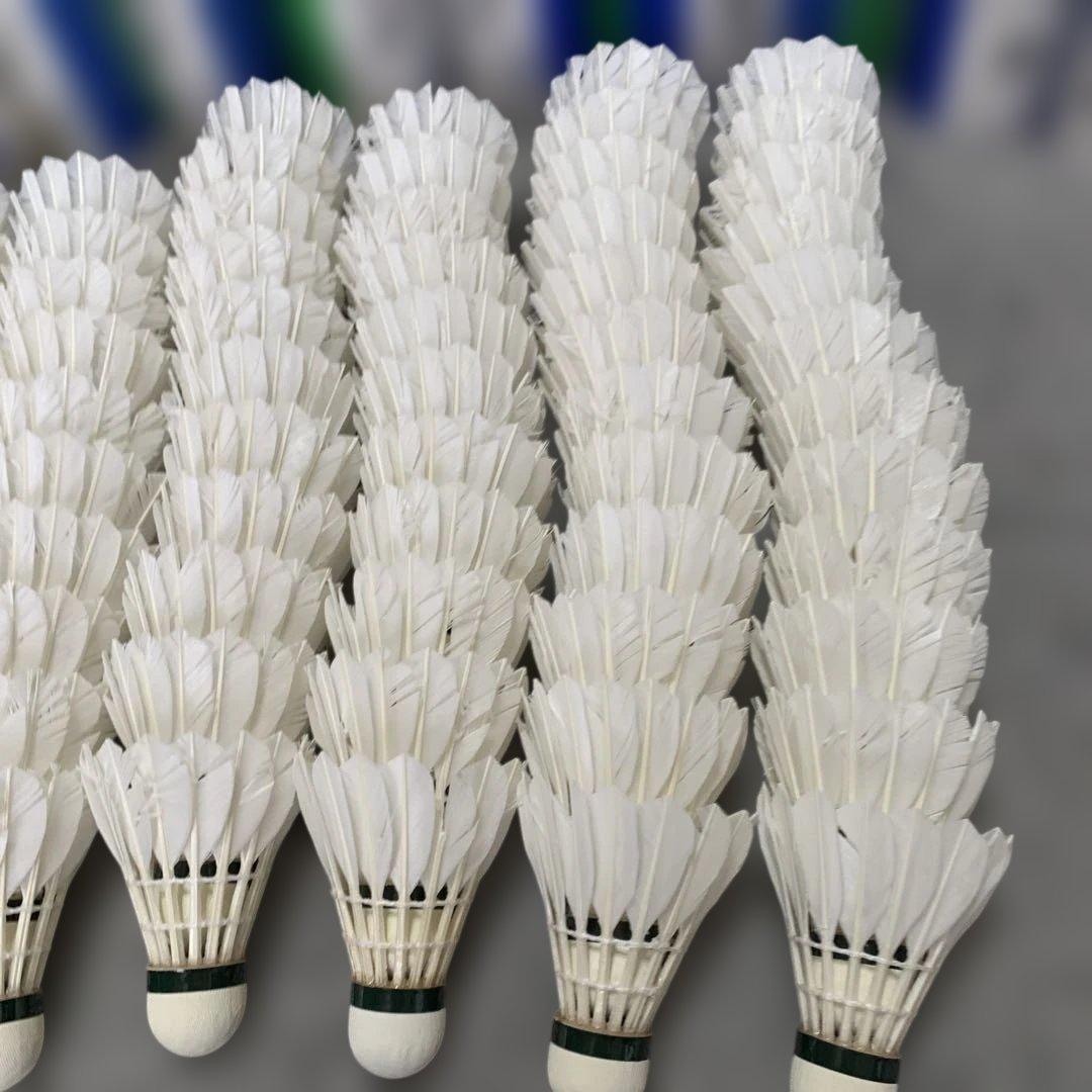 バドミントンシャトル 12個ニューオフィシャル