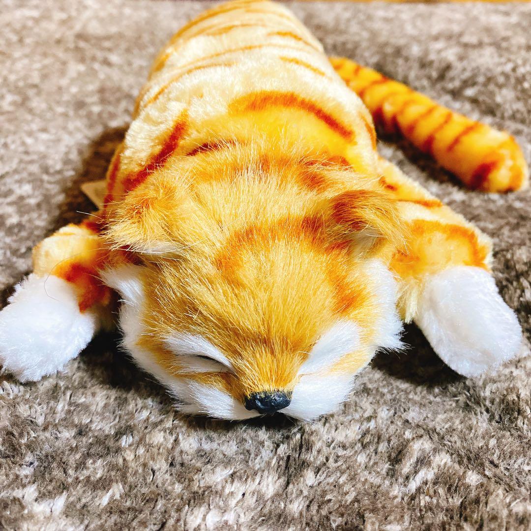 コロコロ にゃんころりん 猫 ロボット リアル
