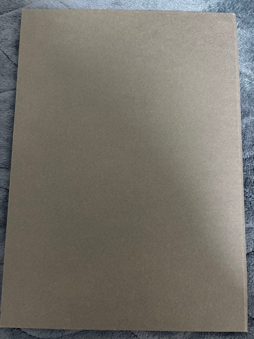 最遊記 三蔵 非売品特典 ブックタイプ台紙 描き下ろしイラスト