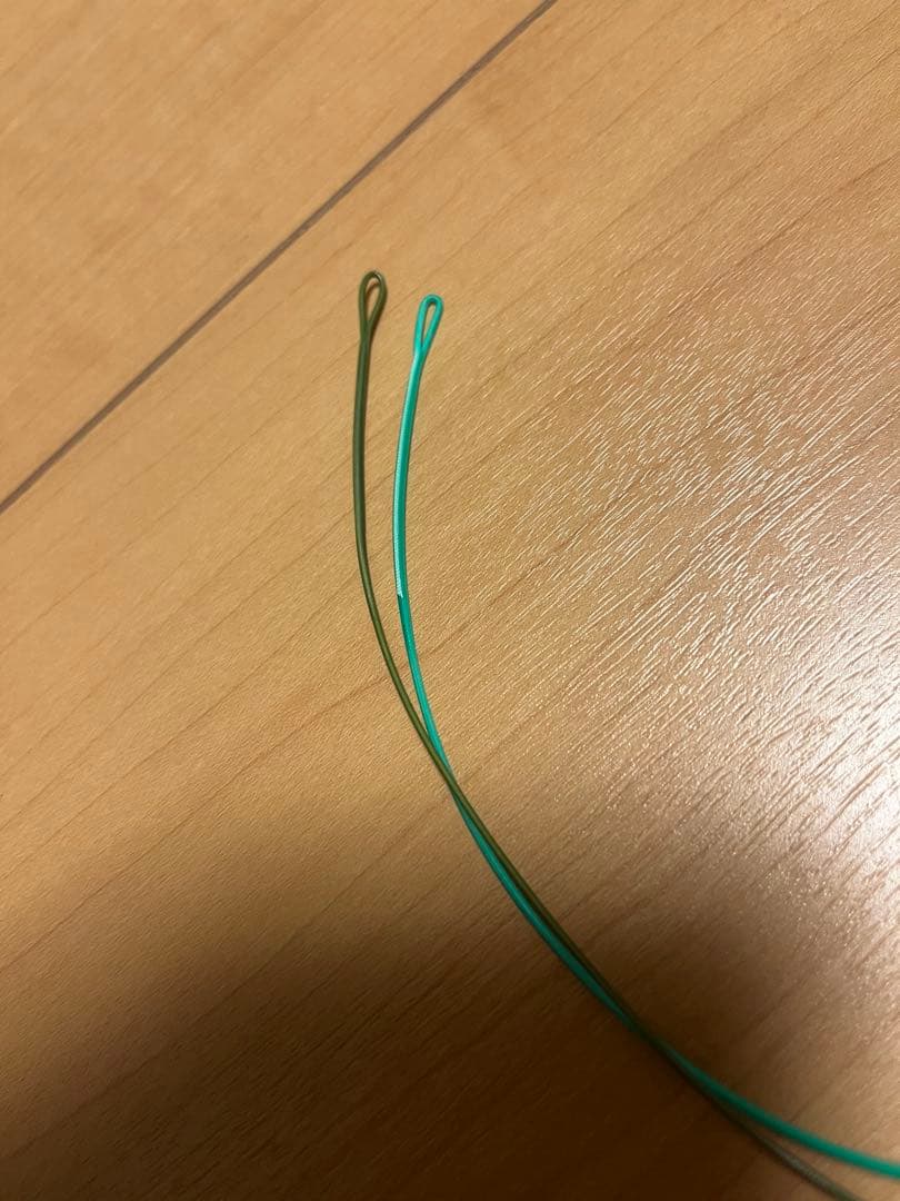 アトランティックサーモンショートSWT#5/6 S1/S2 250GR
