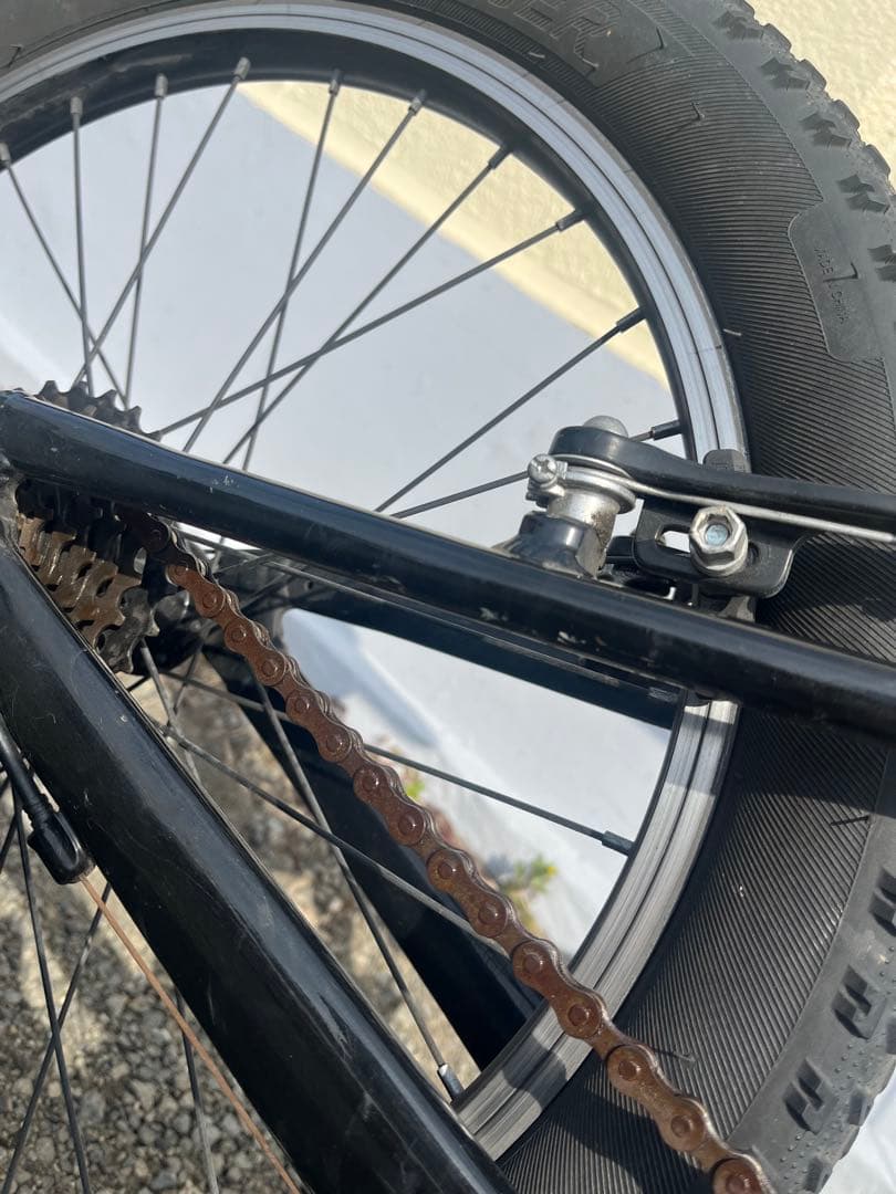 自転車本体 Precaliber 20 7-speed