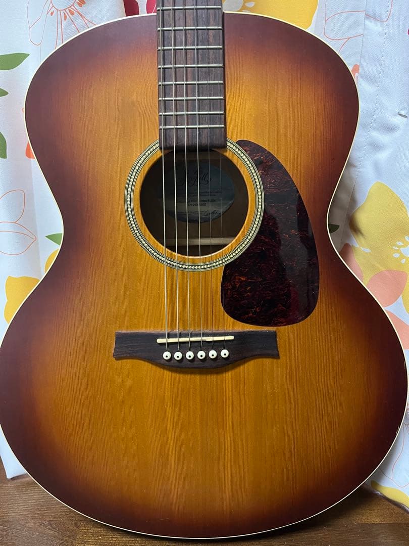 Seagull ギター Entourage Mini Jumbo Rustic