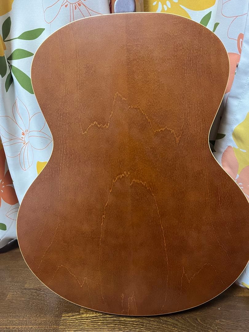 Seagull ギター Entourage Mini Jumbo Rustic