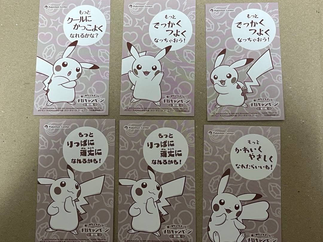メガポンチョを着たピカチュウ セット