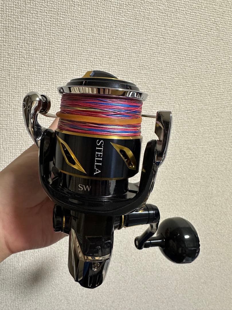 リール SHIMANO 20 STELLA SW 6000HG