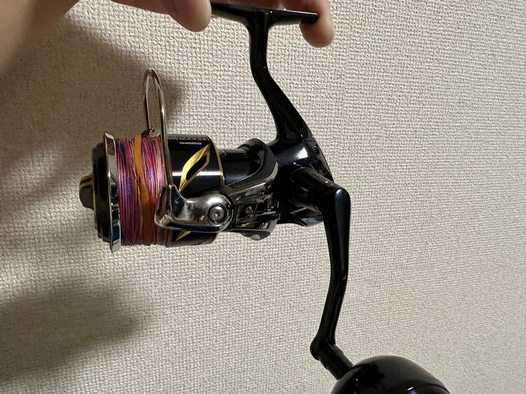 リール SHIMANO 20 STELLA SW 6000HG