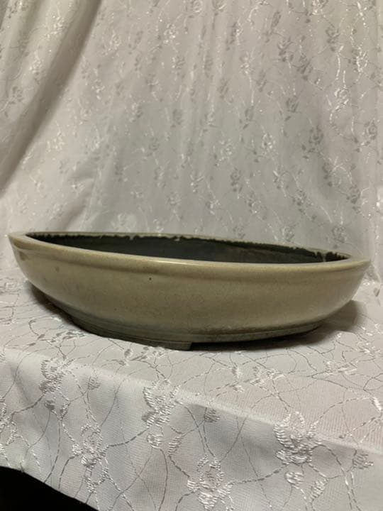 春節セール　鴻陽　大きめ鉢