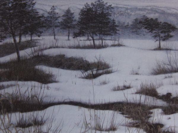 澁澤卿、【霞光白景】、希少な額装用画集より、新品額装付、状態良好