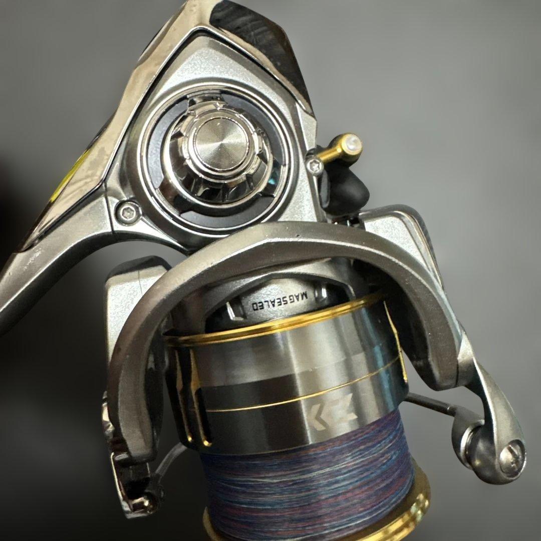 Daiwa FREAMS LT 4000D-C スピニングリール