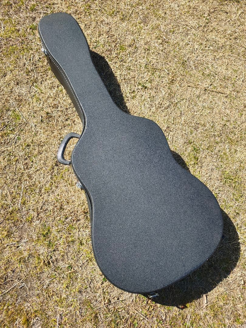 超美品 Sigma Guitars by Martin DM-1 PU付 HC付