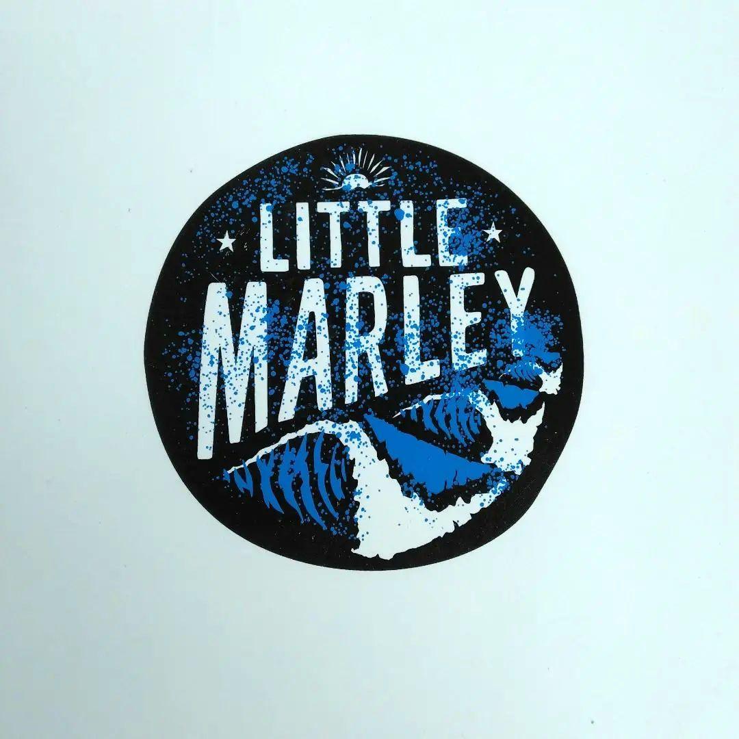 ミックファニング・ソフトボード　LITTLE MARLEY 5'6\"