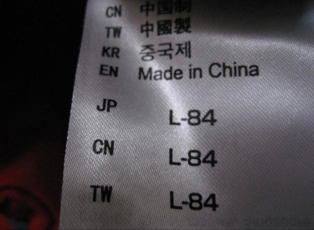 美品 ミズノ 高機能 デモウェア　上下Lサイズ セット ブレスサーモ