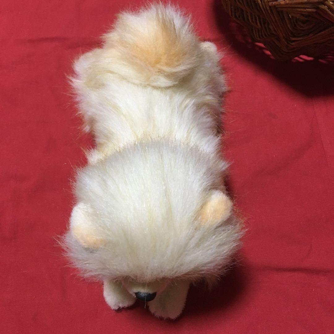 ぬいぐるみ　犬　ポメラニアン　リアル　寝そべり　子犬　四季オリジナル