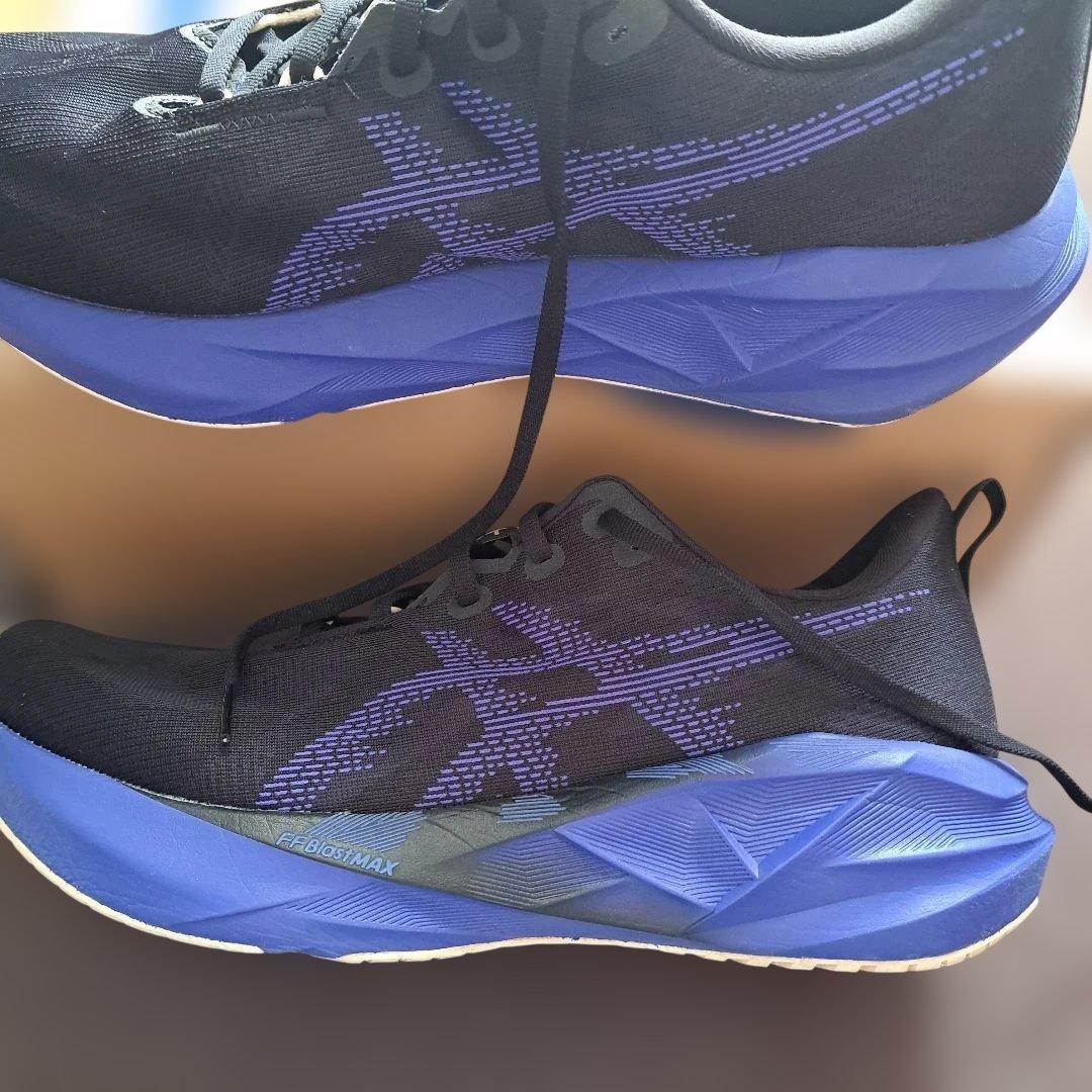 【美品】ASICS NOVABRAST5 ノヴァブラスト5 Wide29.0cm
