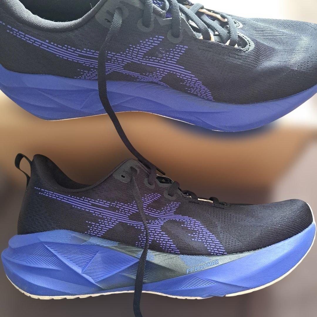 【美品】ASICS NOVABRAST5 ノヴァブラスト5 Wide29.0cm