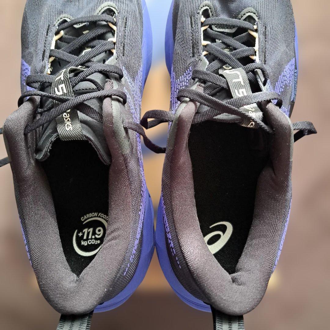 【美品】ASICS NOVABRAST5 ノヴァブラスト5 Wide29.0cm