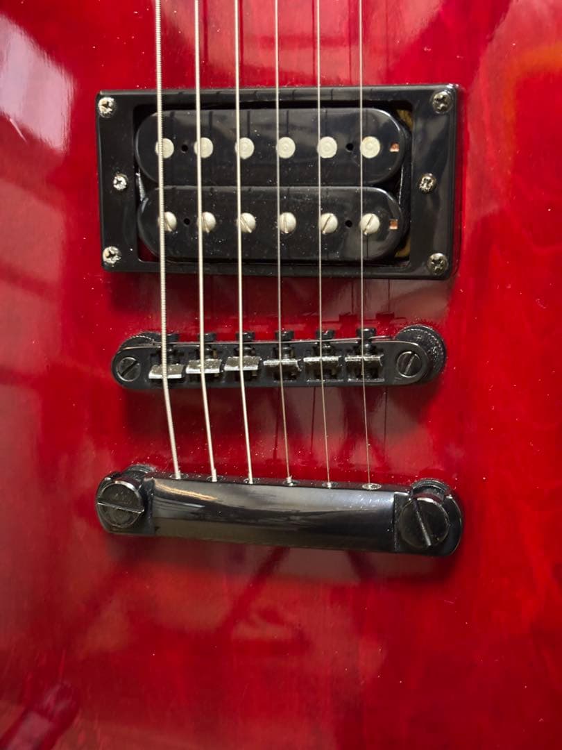 Epiphone Les Paul Special 限定ワイン　クロームブラック