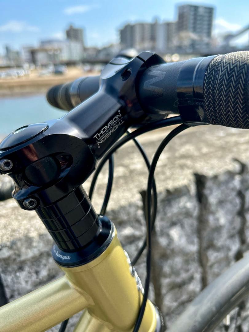 自転車本体 SURLY MIDNIGHT SPECIAL GOLD 50