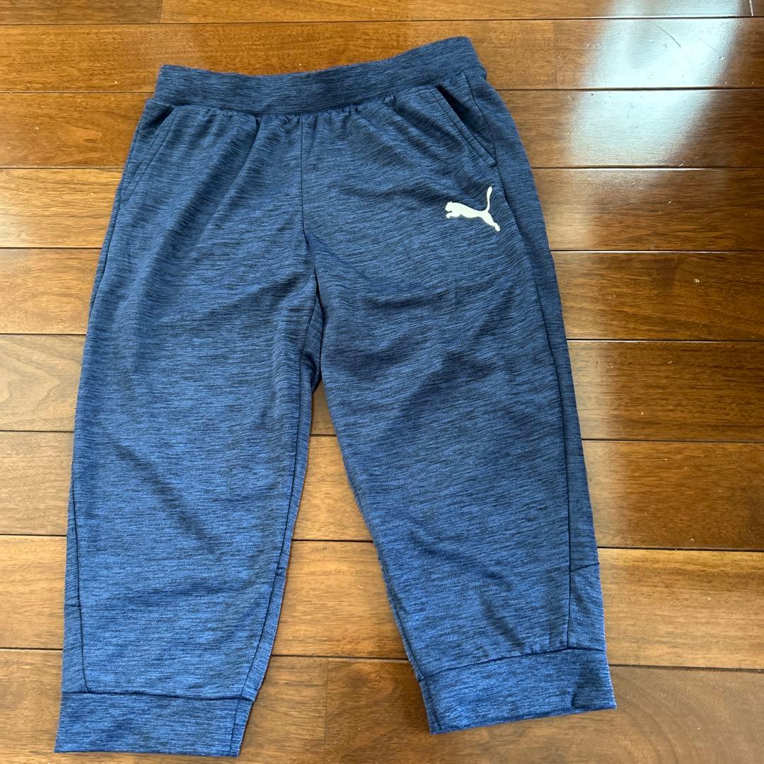 [美品] PUMA ジャージ上下　　ブルー系　　　Lサイズ　　レディース