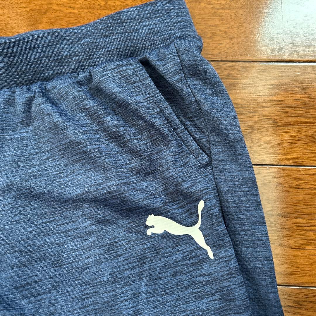 [美品] PUMA ジャージ上下　　ブルー系　　　Lサイズ　　レディース