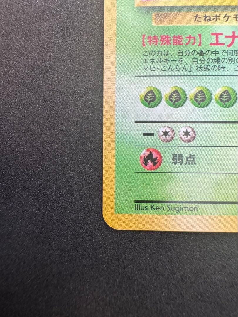 フシギバナ 旧裏 美品 とりかえっこプリーズ ポケモンカード