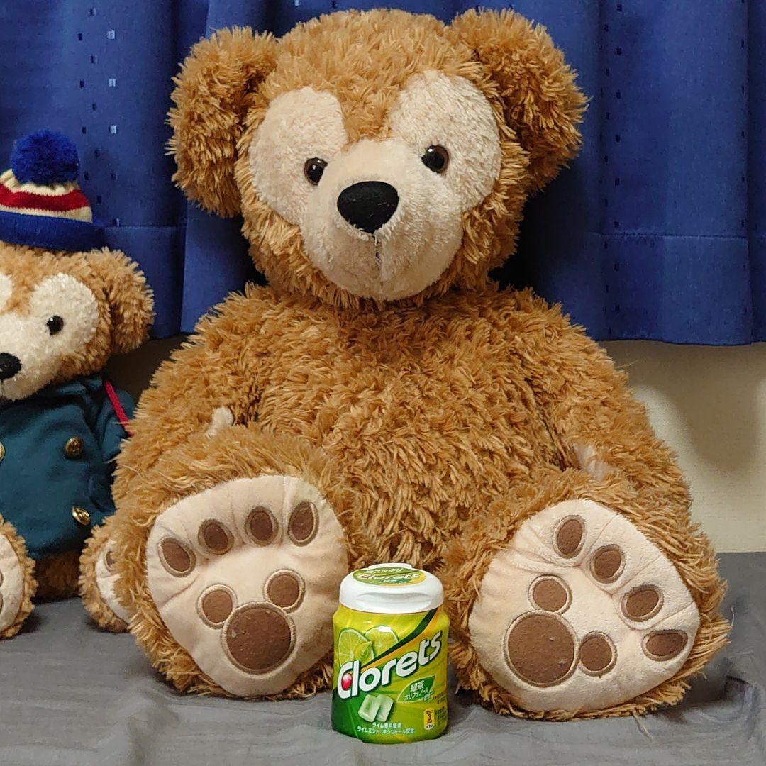 ダッフィー シェリーメイ ぬいぐるみセット おまけ付き