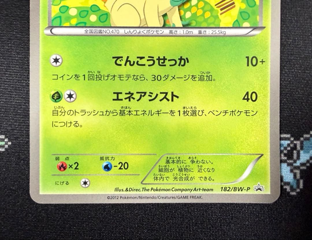 ★ポケモンカード リーフィア 182/BW-P プロモ コレクションファイル★