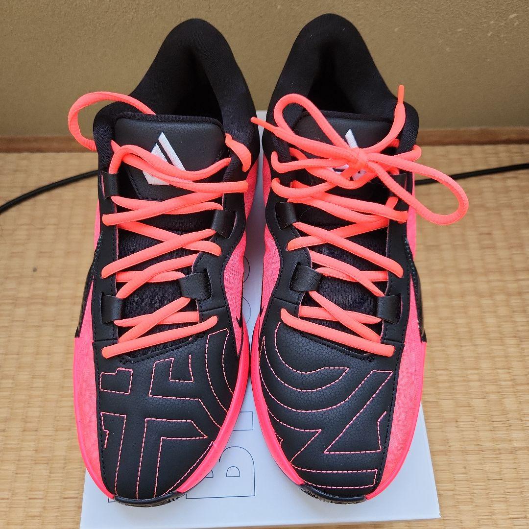 Nike ヤニス　フリーク　5　By You 27cm