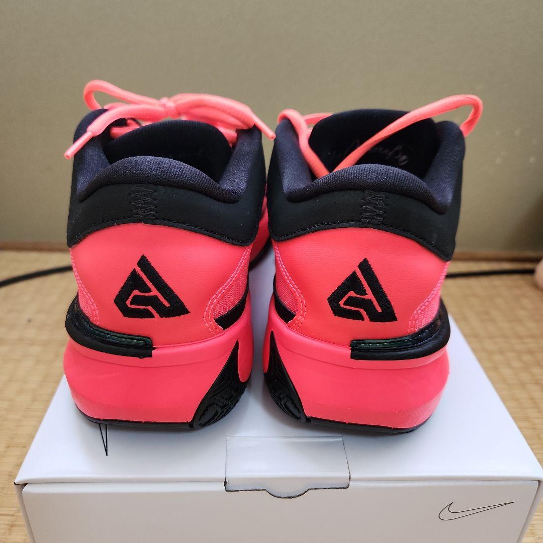 Nike ヤニス　フリーク　5　By You 27cm