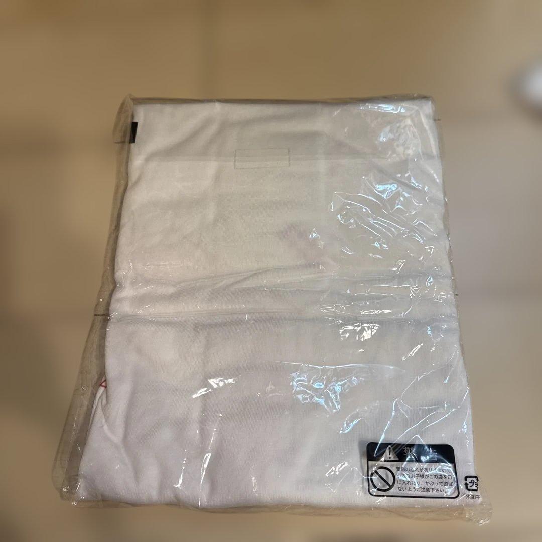 AIINA THE END Tシャツ3枚 タオル ショッパー　セット XL