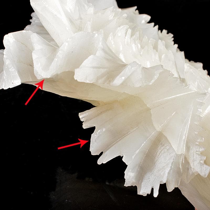 中国　玉石白玉彫刻　白菜　置物　V　R5727