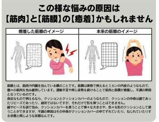 ライフフィット ツイストロール