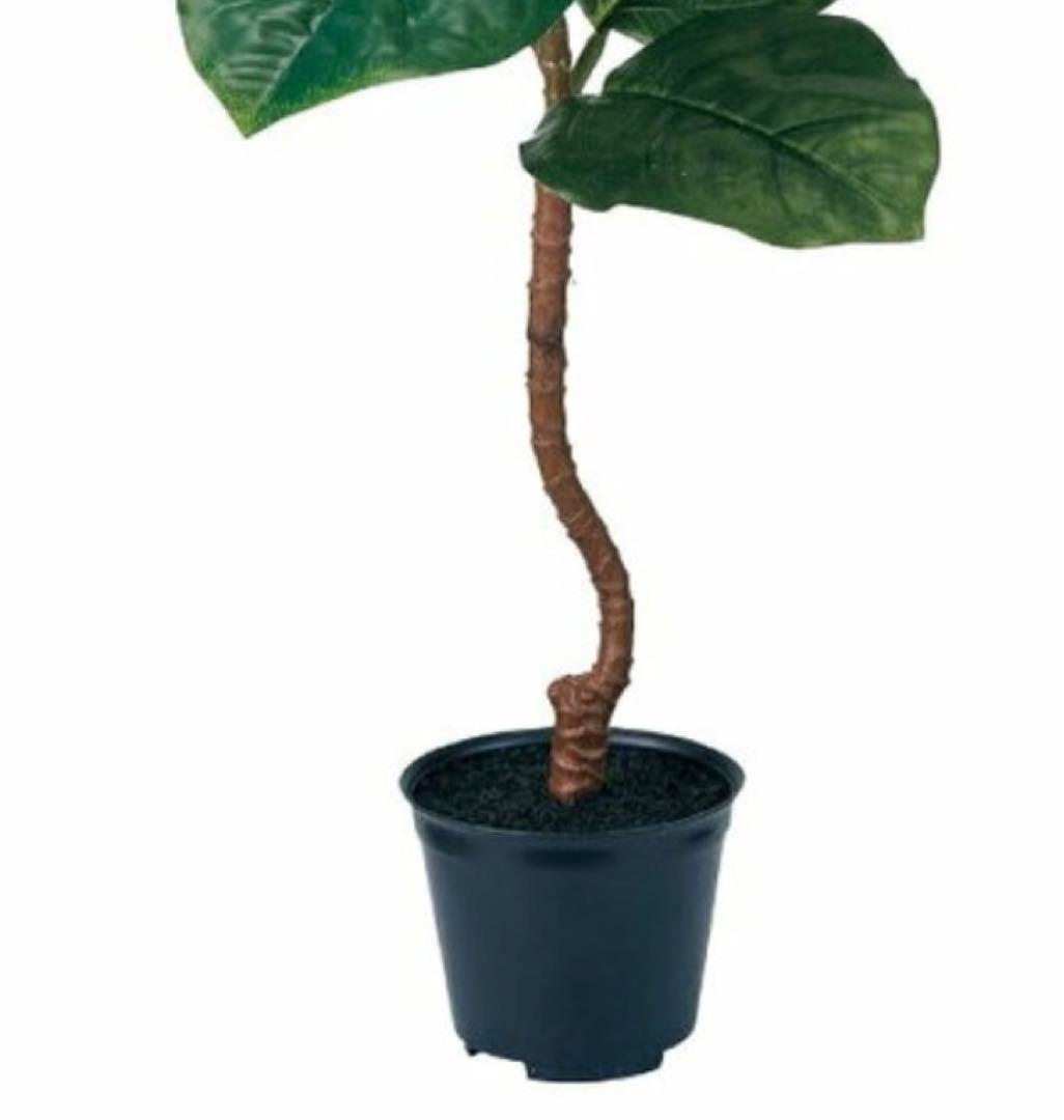 光触媒　人工観葉植物　ウォールグリーン　フェイクグリーン　ゴムの木ポット