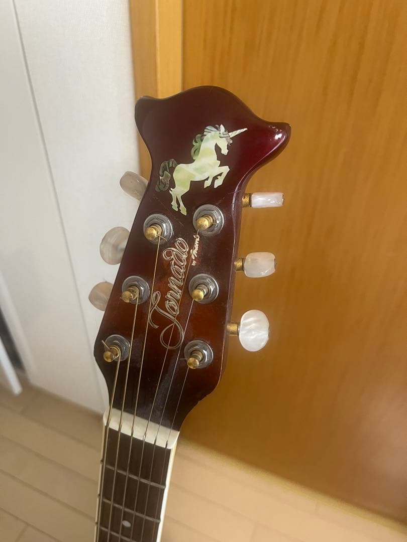 Morris tornado zii エレキアコースティックギター
