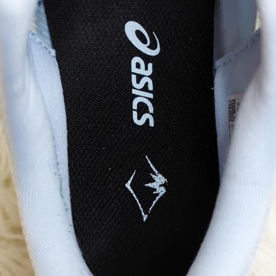 【美品】ASICS Fuji speed 2 ランニングシューズ トレラン