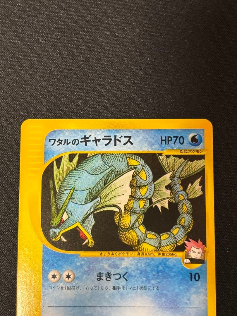 ポケモンカード　ワタルのギャラドス