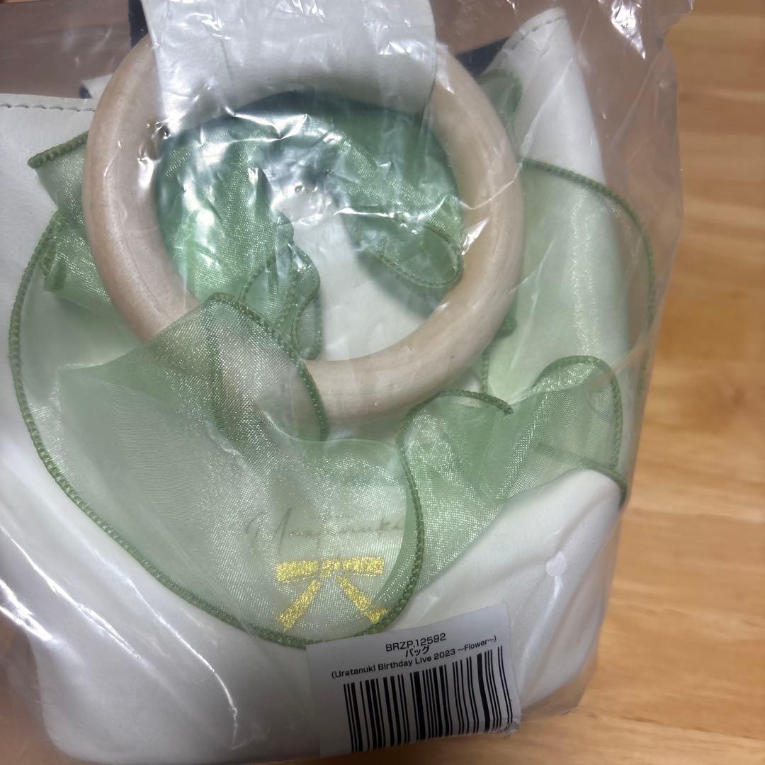 うらたぬき　セット