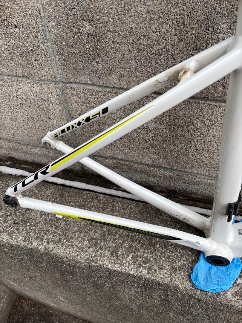 Giant TCR1フレームセット！