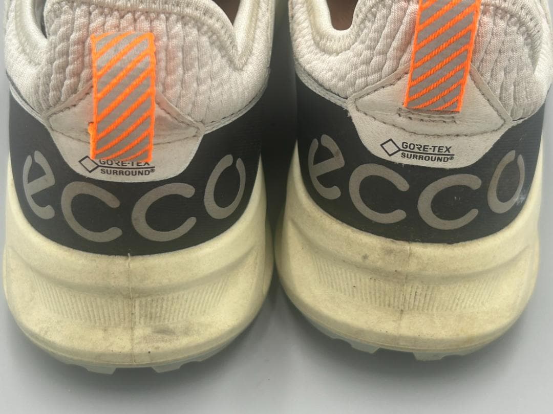 SK-271 ECCO M GOLF BIOM C4 サイズ43