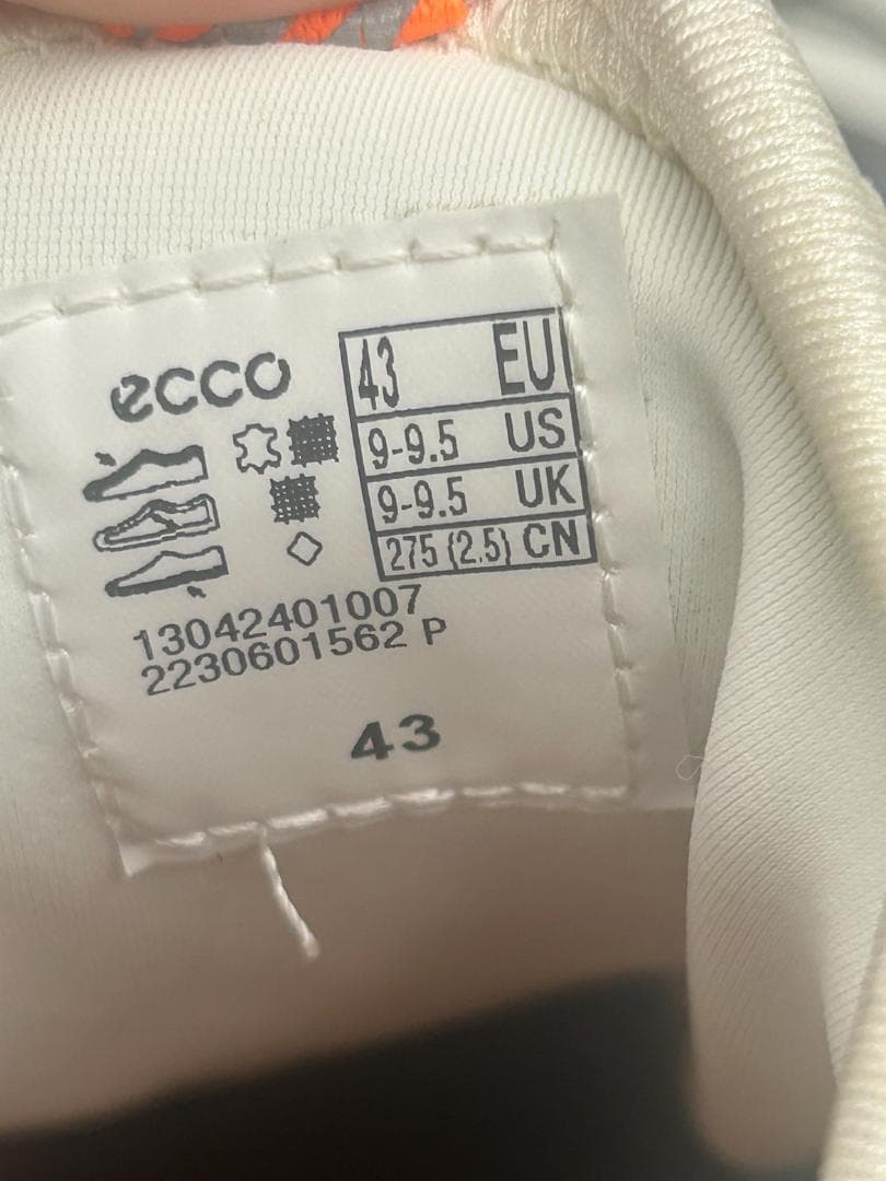 SK-271 ECCO M GOLF BIOM C4 サイズ43