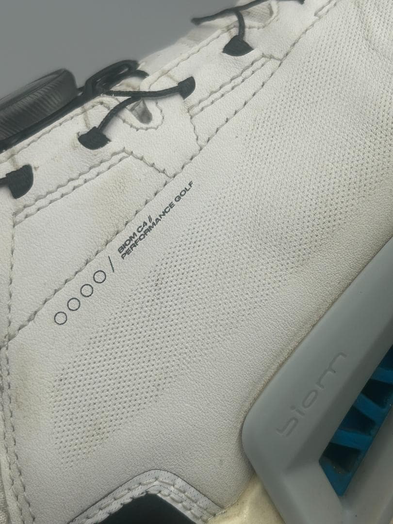 SK-271 ECCO M GOLF BIOM C4 サイズ43