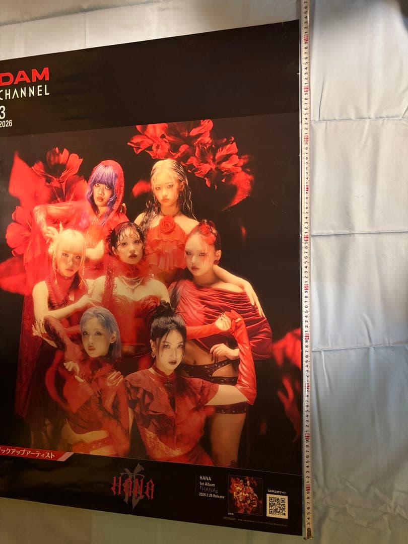 非売品 DAM HANA ポスター 2種セット 大サイズ 小サイズ