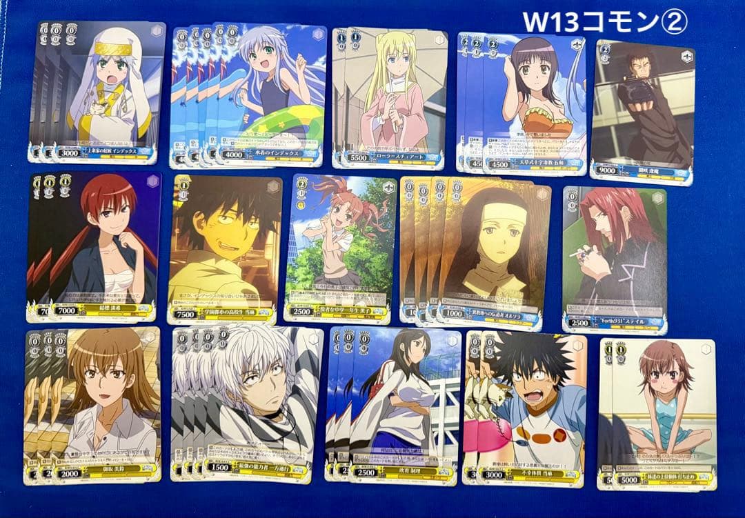 ヴァイスシュヴァルツカード（W10/13）226枚　解説書/プレイマット付き