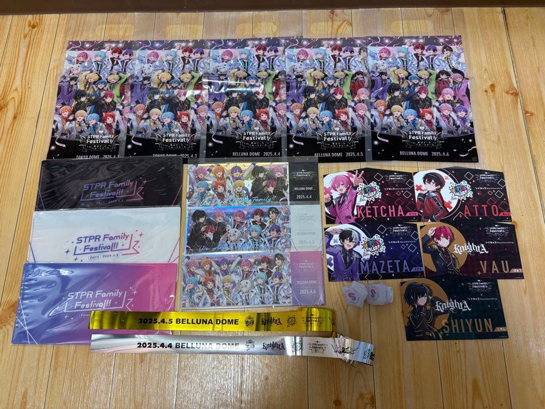 すとふぇす 東京ドーム リンライ ベルーナ ショッパーチケットファイル 銀テ絵馬