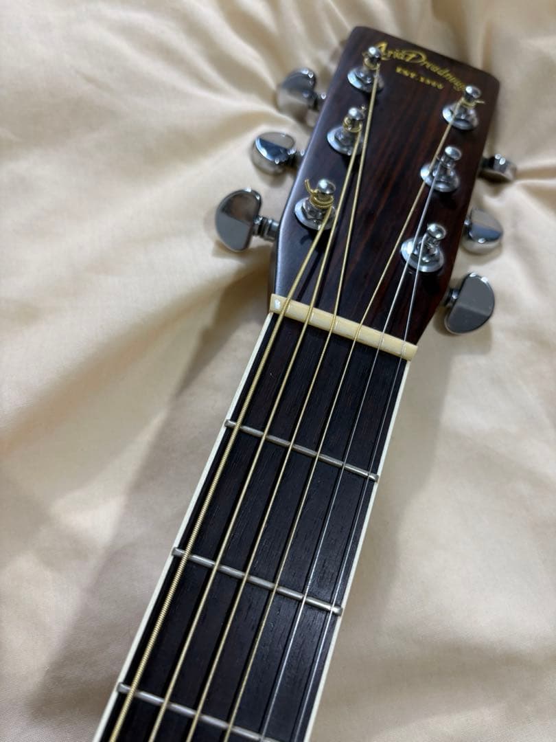 Aria Dreadnought D-30 R.MATSUOKA 日本製