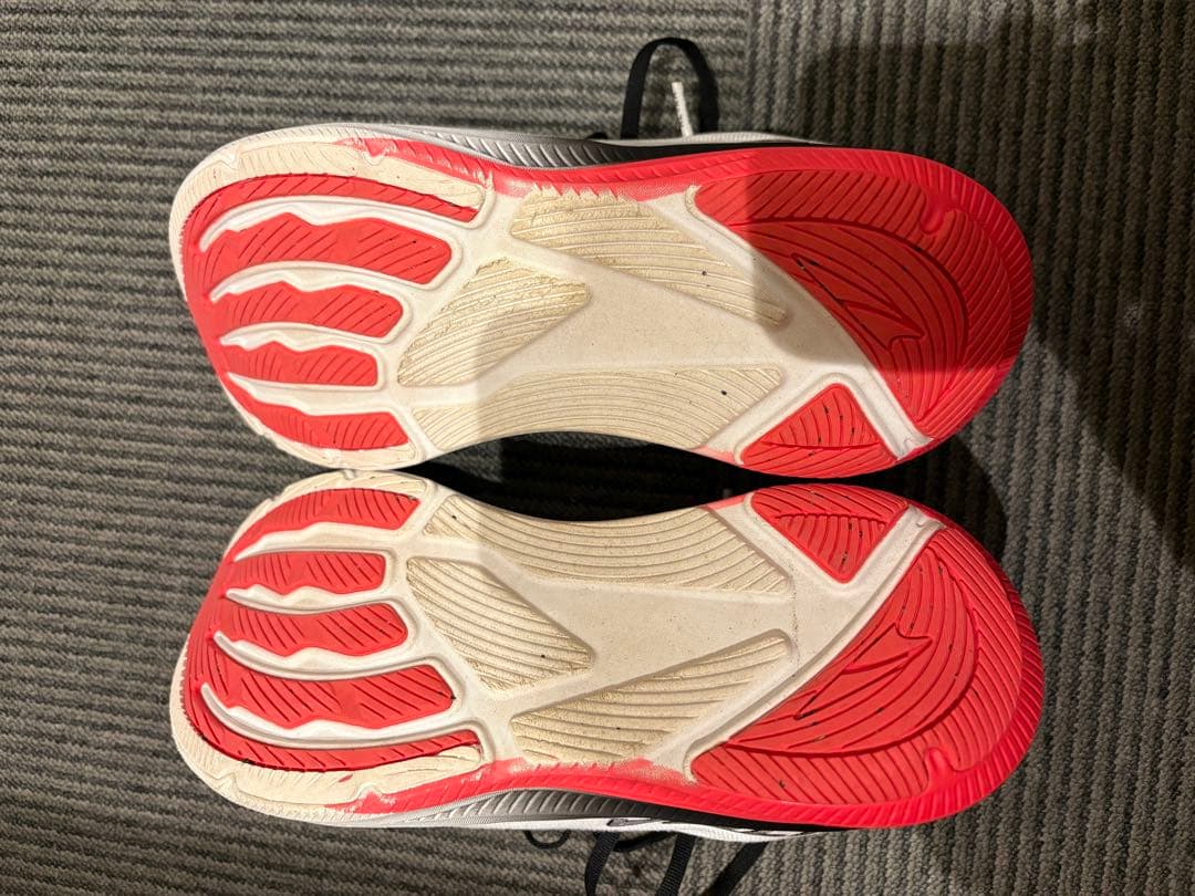 ろーれん　ALTRA EXPERIENCE FLOW 2