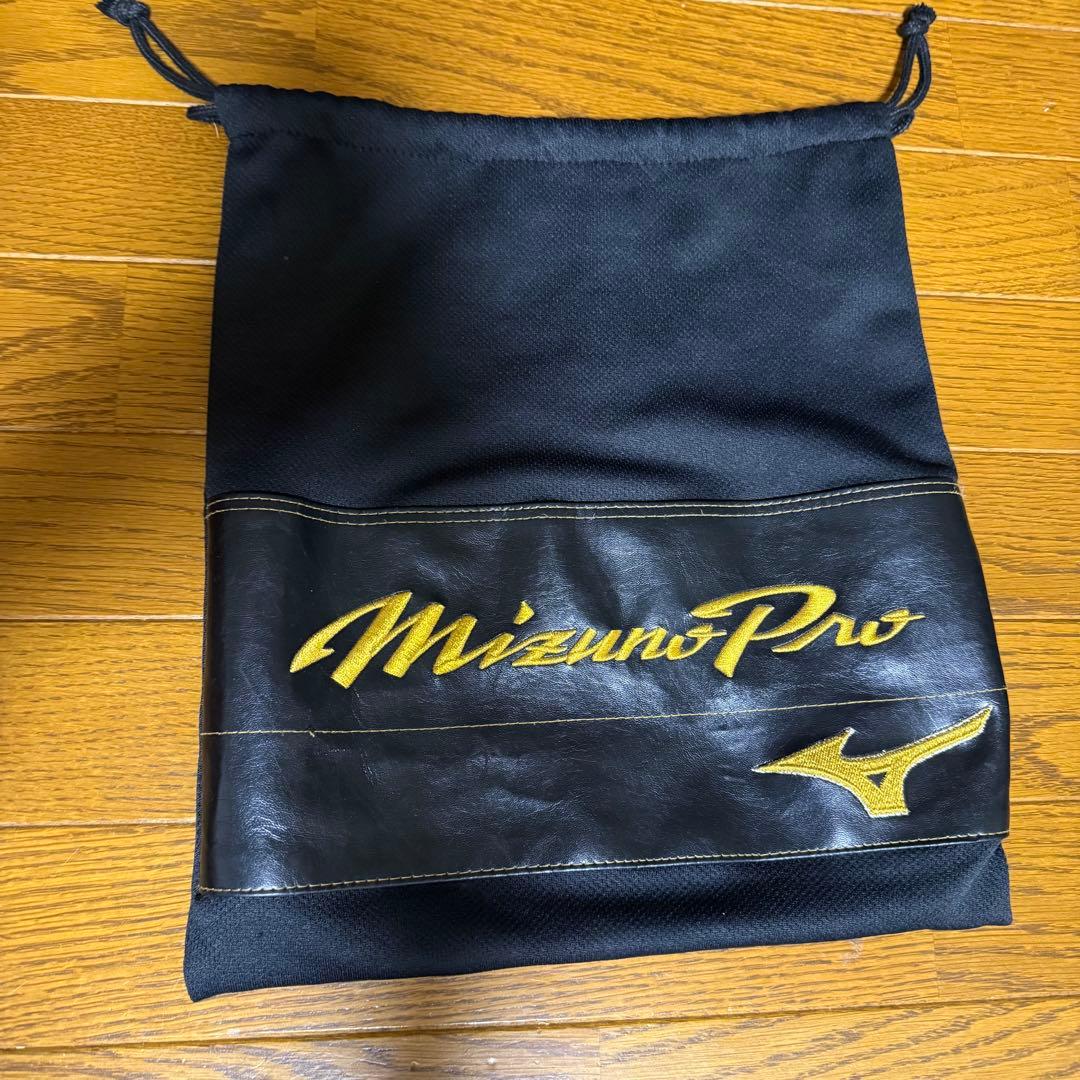 Mizuno Pro硬式グローブ 外野手　右投げ用
