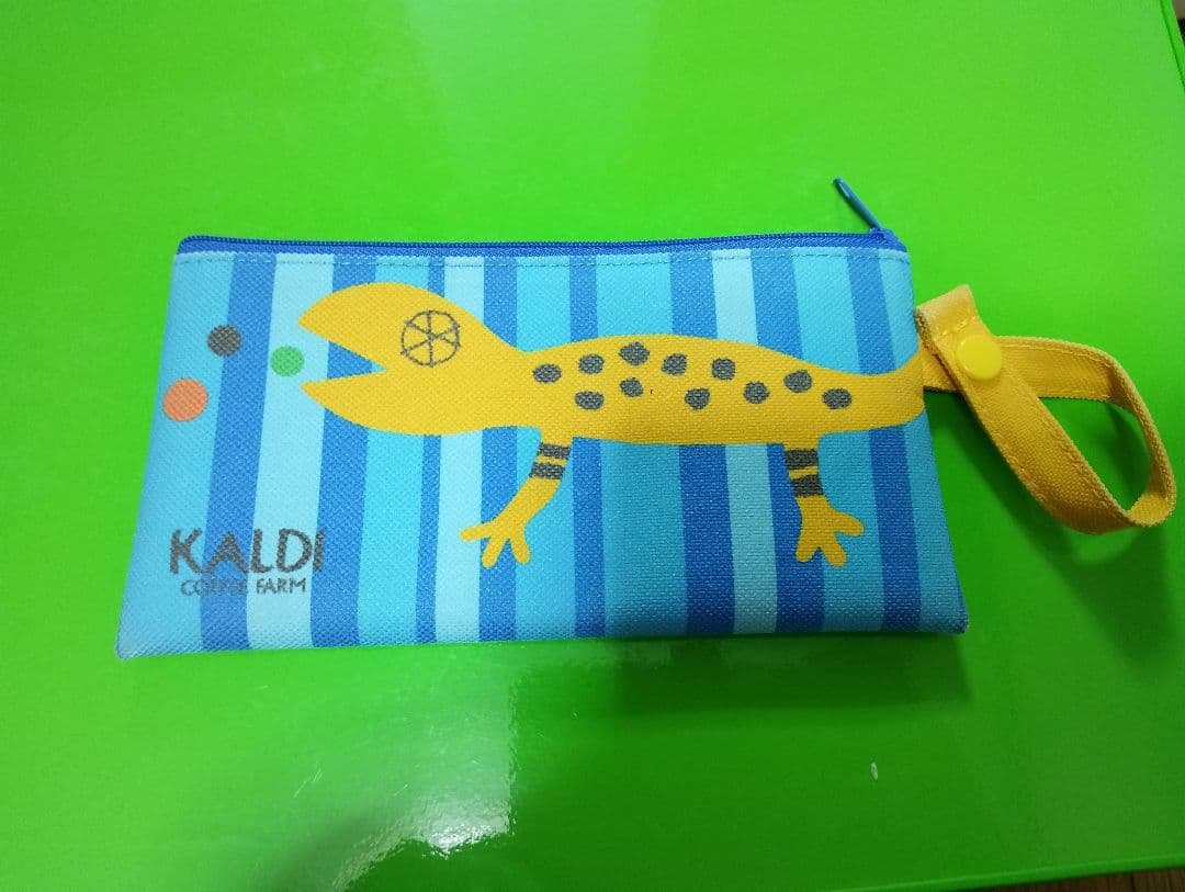 KALDI トカゲペンケース