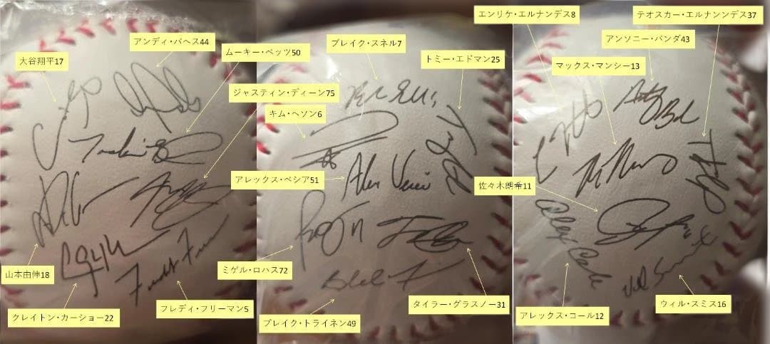 A*A様 2025MLB WS チャンピオンボール ロサンゼルスドジャース サイ